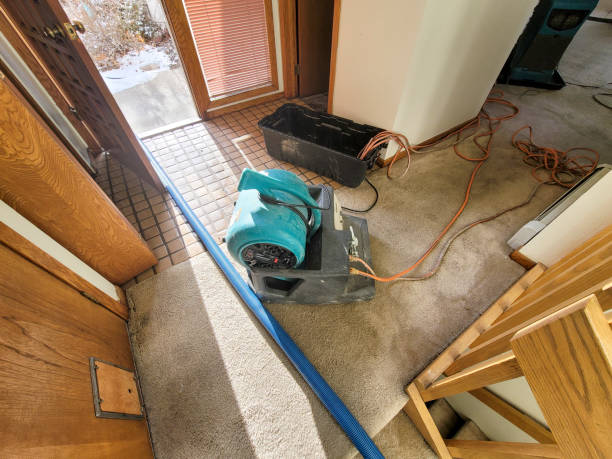 Best Water damage mitigation services  in Missoula, MT