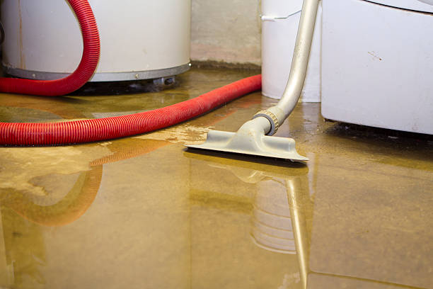 Best Basement water damage restoration  in Missoula, MT