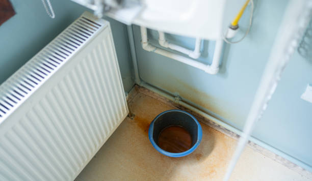 Best Mold removal after water damage  in Missoula, MT