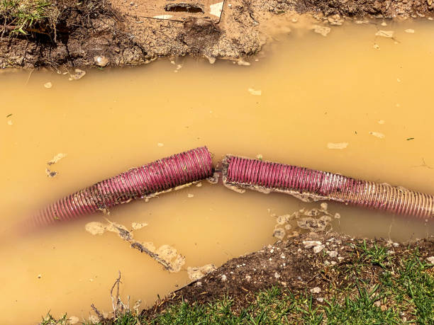 Best 24-hour water damage restoration  in Missoula, MT